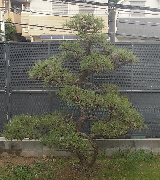 無題.pn