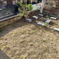 IMG_20260312_162122