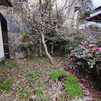画像4477：姫路市香寺町　S様邸　伐採作業