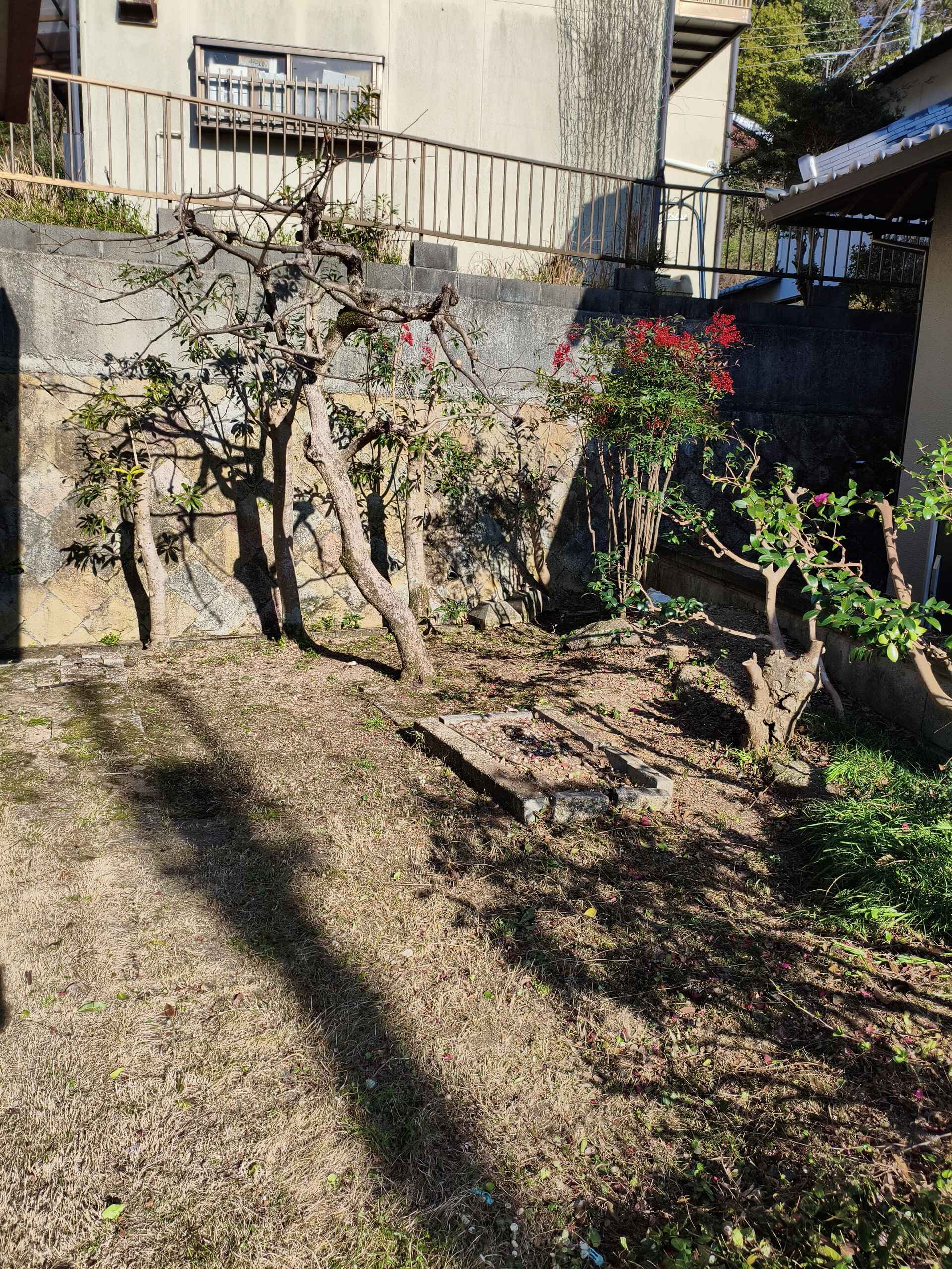 画像4478：姫路市香寺町　S様邸　伐採作業