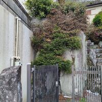 画像4479：姫路市香寺町　S様邸　伐採作業