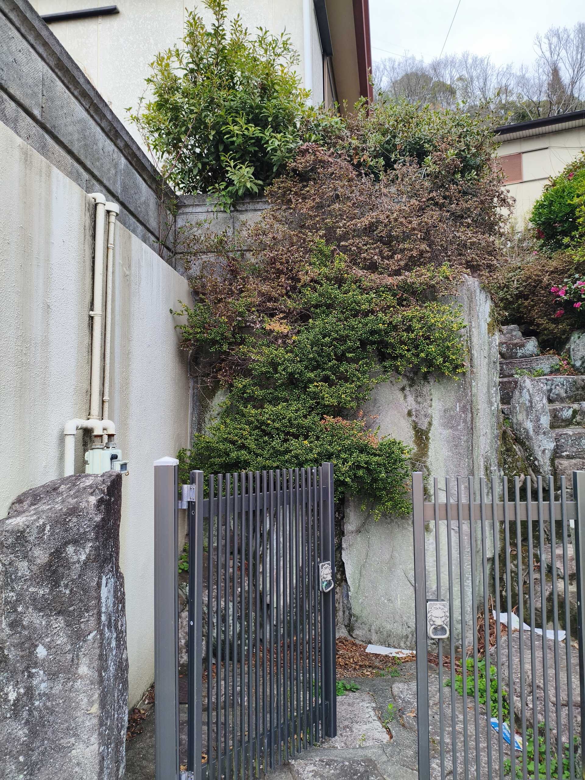 画像4479：姫路市香寺町　S様邸　伐採作業