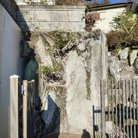 画像4480：姫路市香寺町　S様邸　伐採作業