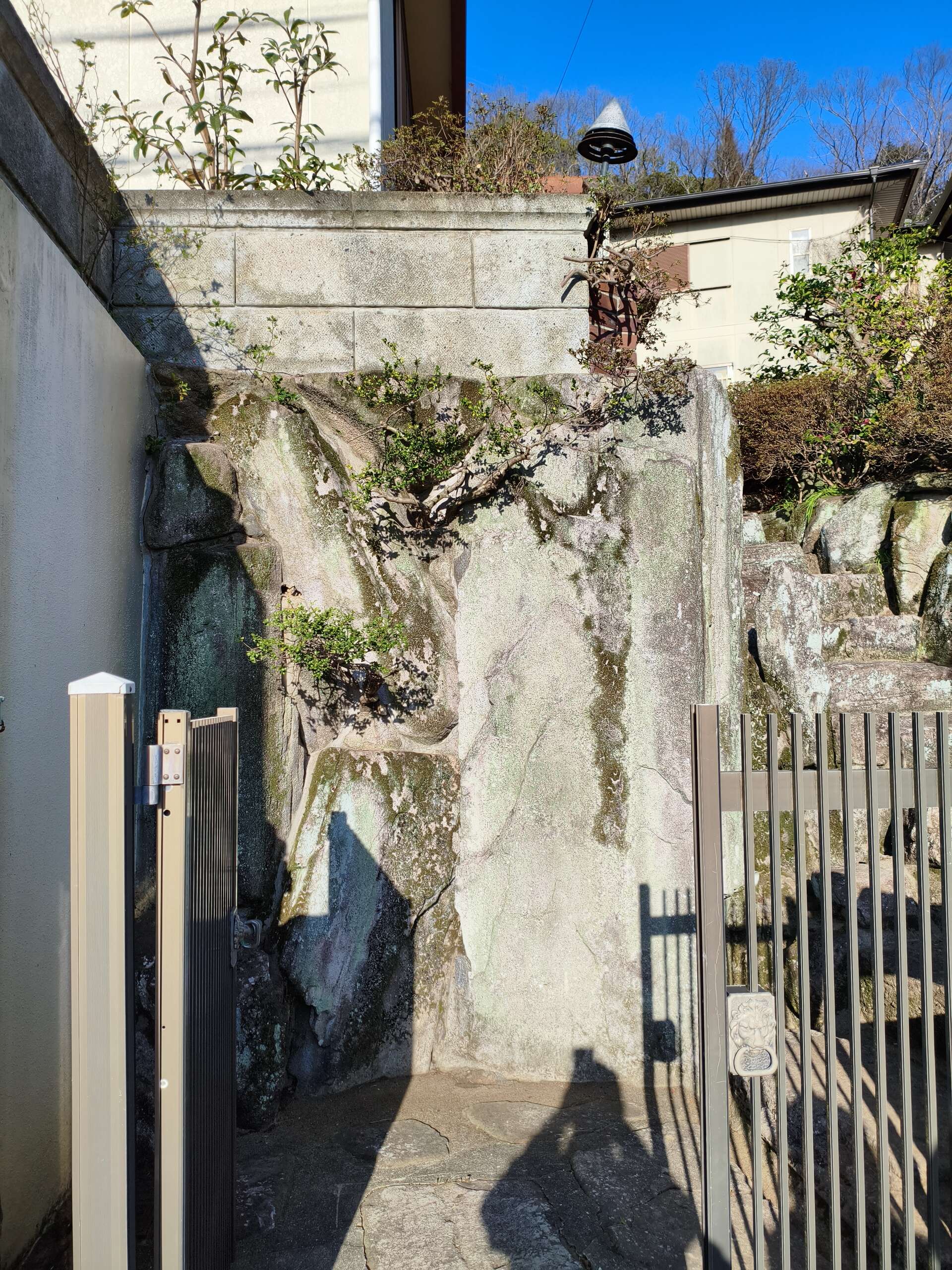 画像4480：姫路市香寺町　S様邸　伐採作業