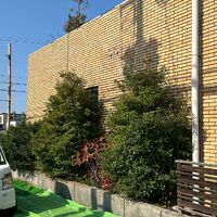 画像4740：姫路市香寺町　S様邸　伐採作業