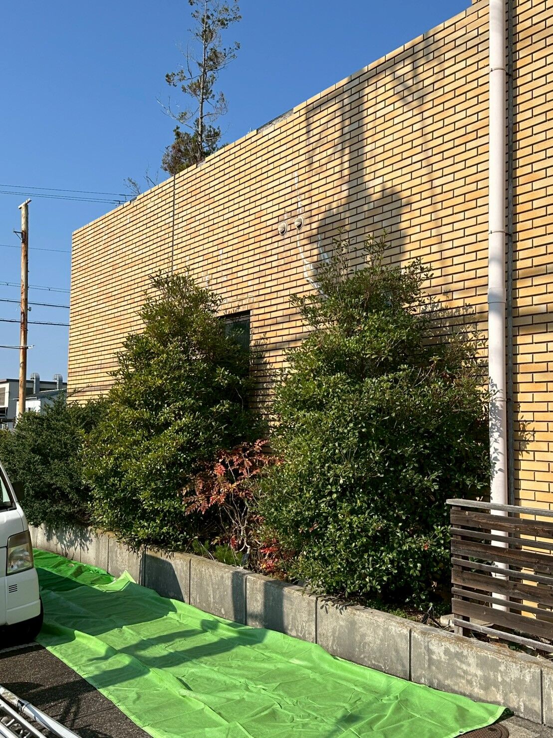 画像4740：姫路市香寺町　S様邸　伐採作業