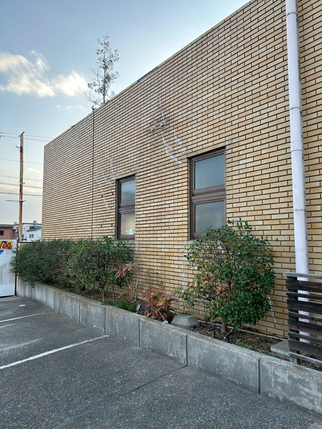 画像4741：姫路市香寺町　S様邸　伐採作業
