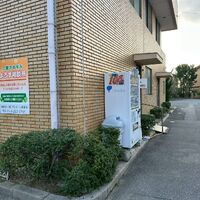 画像4743：姫路市香寺町　S様邸　伐採作業