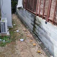 IMG_20260424_133541