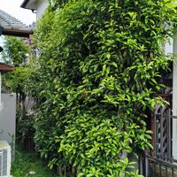 IMG_20260424_083119