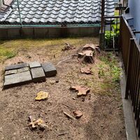 画像5033：姫路市香寺町　S様邸　伐採作業